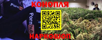 марки lsd Будённовск