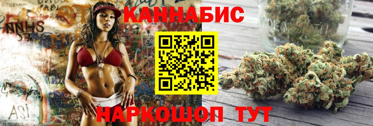 Конопля план Тара